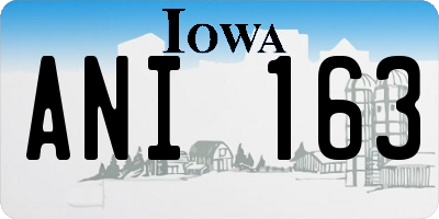 IA license plate ANI163