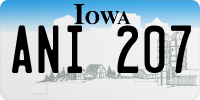 IA license plate ANI207
