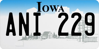 IA license plate ANI229
