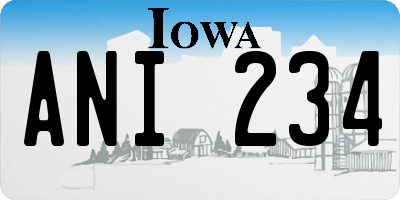 IA license plate ANI234