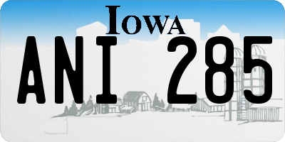 IA license plate ANI285