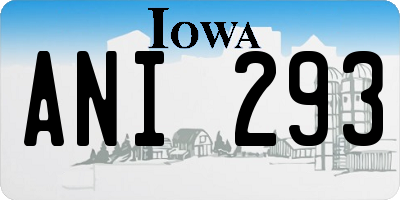 IA license plate ANI293