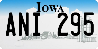 IA license plate ANI295