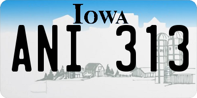 IA license plate ANI313