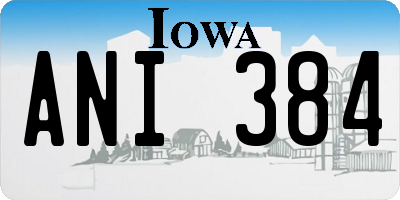 IA license plate ANI384