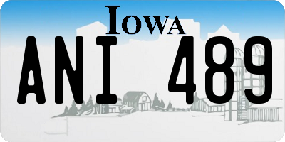IA license plate ANI489
