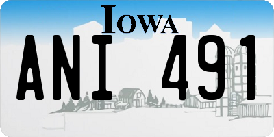 IA license plate ANI491