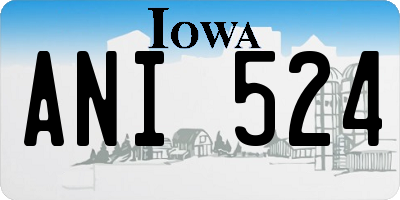 IA license plate ANI524