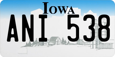 IA license plate ANI538
