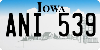 IA license plate ANI539