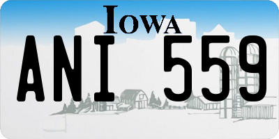 IA license plate ANI559