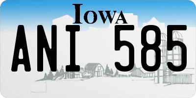 IA license plate ANI585