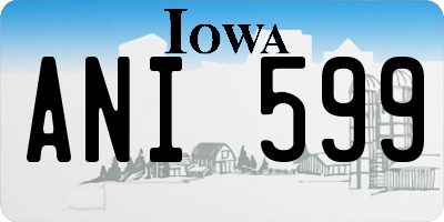 IA license plate ANI599
