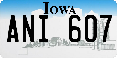 IA license plate ANI607