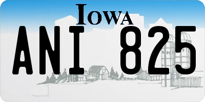 IA license plate ANI825