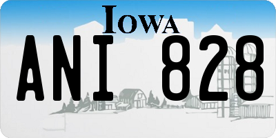 IA license plate ANI828