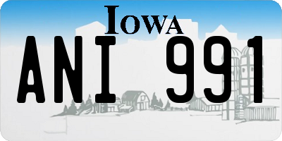 IA license plate ANI991