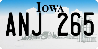 IA license plate ANJ265