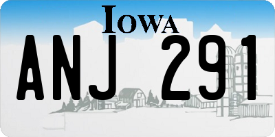 IA license plate ANJ291