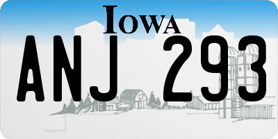 IA license plate ANJ293