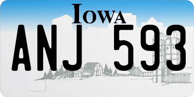 IA license plate ANJ593