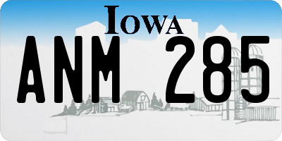 IA license plate ANM285