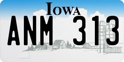 IA license plate ANM313