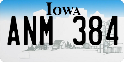 IA license plate ANM384
