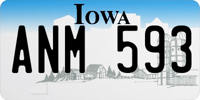 IA license plate ANM593
