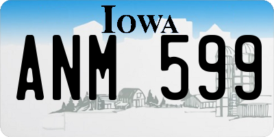 IA license plate ANM599
