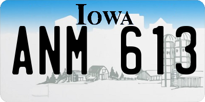 IA license plate ANM613