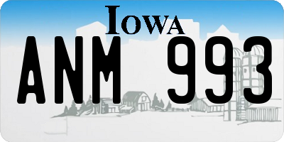 IA license plate ANM993