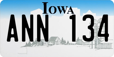 IA license plate ANN134