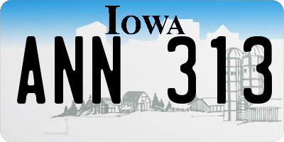 IA license plate ANN313