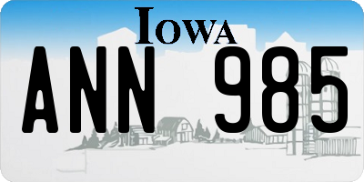 IA license plate ANN985
