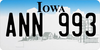 IA license plate ANN993
