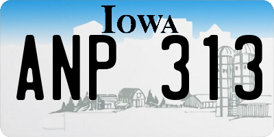 IA license plate ANP313