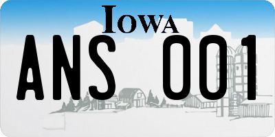 IA license plate ANS001