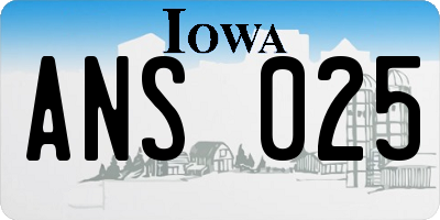 IA license plate ANS025