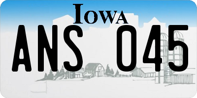 IA license plate ANS045