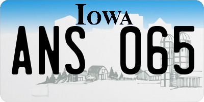IA license plate ANS065