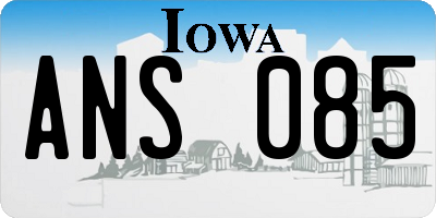 IA license plate ANS085
