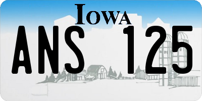 IA license plate ANS125
