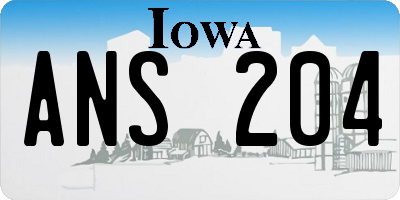 IA license plate ANS204