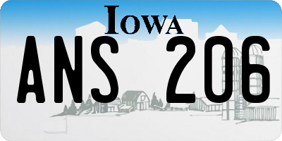 IA license plate ANS206
