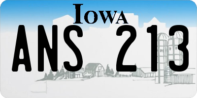 IA license plate ANS213