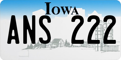 IA license plate ANS222