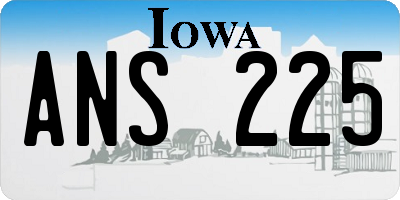 IA license plate ANS225