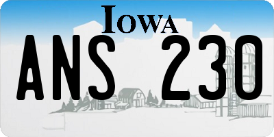 IA license plate ANS230