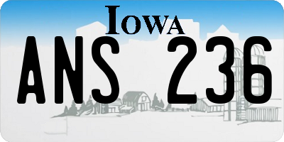 IA license plate ANS236